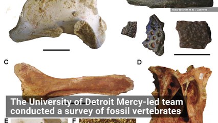 'Most Dangerous Place in the History of Planet Earth' Revealed