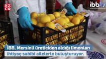 İBB, Mersinli çiftçiden satın alınan limonların dağıtımına başladı