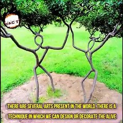 SECRETS THAT ONLY ONE PERSON KNEW THAT DIED WITH THEM