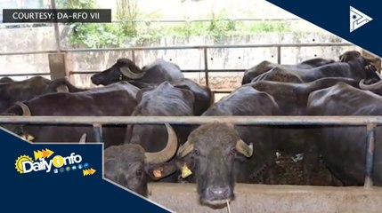 DA, patuloy ang pamimigay ng ayuda sa mga magsasaka sa gitna ng CoVID-19