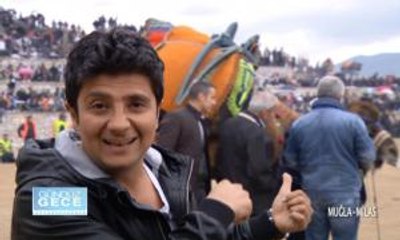 GÜNDÜZ GECE - MUĞLA - MİLAS