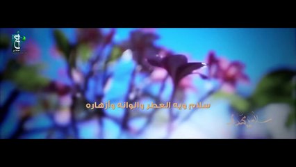 سلام يا مهدي - الرادود أحمد الفتلاوي
