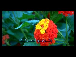 لا شريك لك - حسين الاكرف