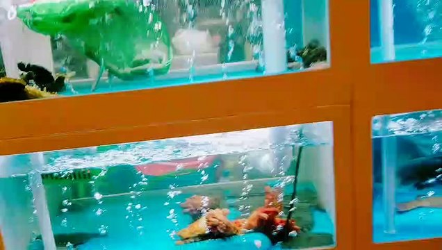 a121 エイジングケアに大活躍！コロコロ…簡単！ローラー美容液【リンクローダー】目尻、目下のたるみ、額、ほうれい線、気になるポイントのケアエイジングケアに大活躍！コロコロ…簡単！ローラー美容液【リンクローダー】目尻、目下のたるみ、額、ほうれい線、気になるポイントのケア