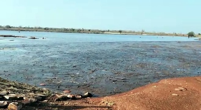 भारी बारिश के बाद गिरे ओले,तालाबों और नदी, नालों में पानी ही ही पानी