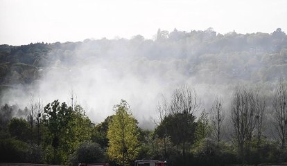Important incendie dans un bois à Wanze