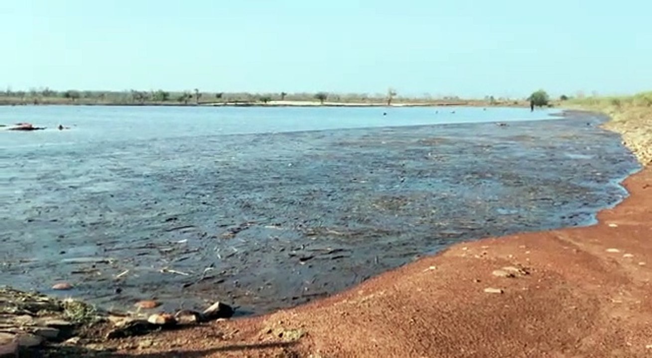 8 गांव में  ओले 15 गांव में भारी बरसात