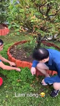 Dương Triệu Vũ lên chăm vườn cùng Hoài Linh