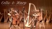 Sarah Joy, Jennifer Miller - Cello & Harp Duets