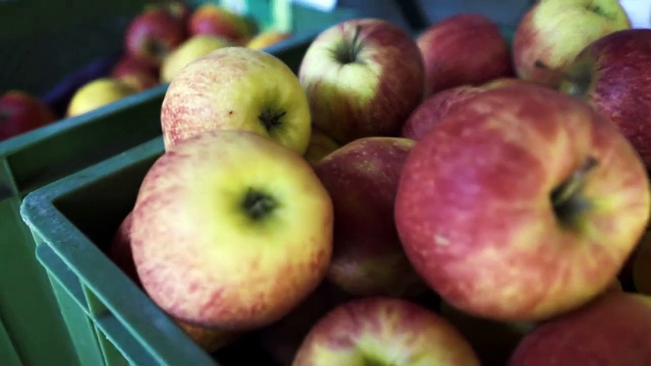 Sein gesund, bewusst, lebendig film