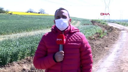 Tekirdağ'a kaçak gelenler araçlarıyla geçtikleri tarlalara zarar verdi