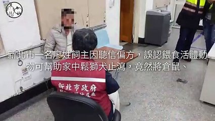 petsmao.nownews-copy4-20200428-16:12