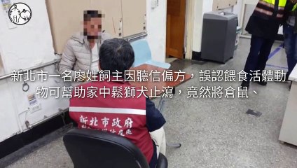 petmao_curation_mobile-copy3-20200428-16:15