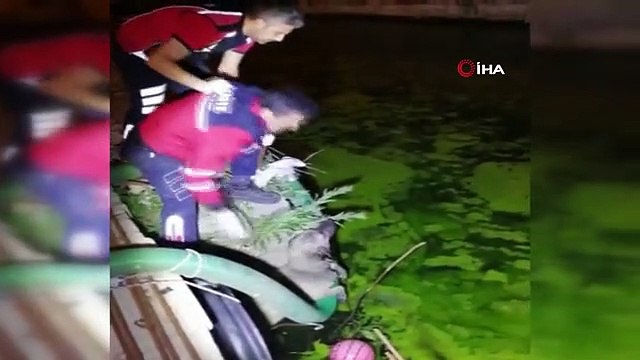 Sıkıştığı yerden kurtulamayan köpeğin imdadına itfaiye yetişti