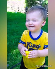 Funny Baby's Reaction to Everything