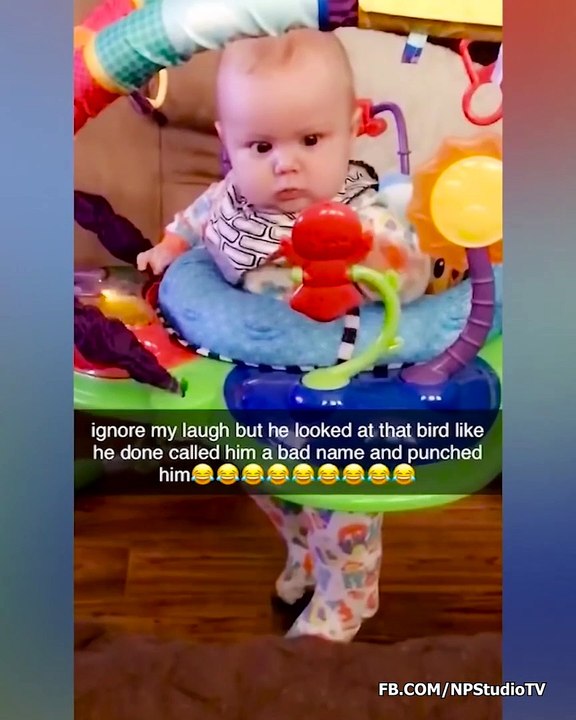 The Angriest Babies In The Whole World