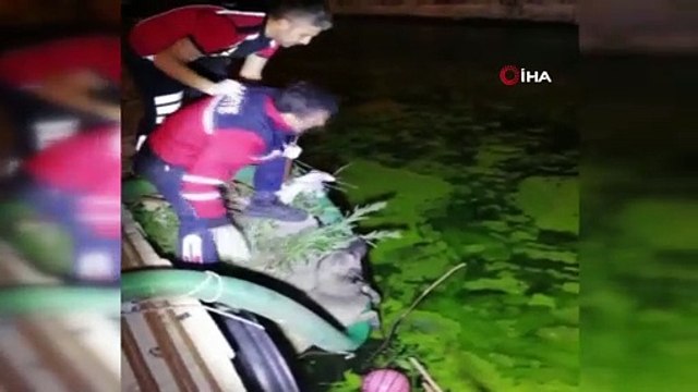 Sıkıştığı yerden kurtulamayan köpeğin imdadına itfaiye yetişti