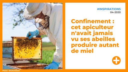 Confinement : cet apiculteur n'avait jamais vu ses abeilles produire autant de miel