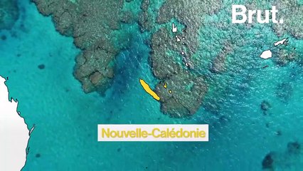 En Nouvelle-Calédonie, il plonge dans les derniers récifs vierges de la planète