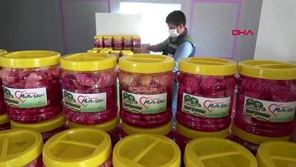 İSTANBUL-Organik turşu ve fasulyeler Silivri Gıda Bankası'na teslim edildi