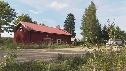 Volkswagen Polo R WRC