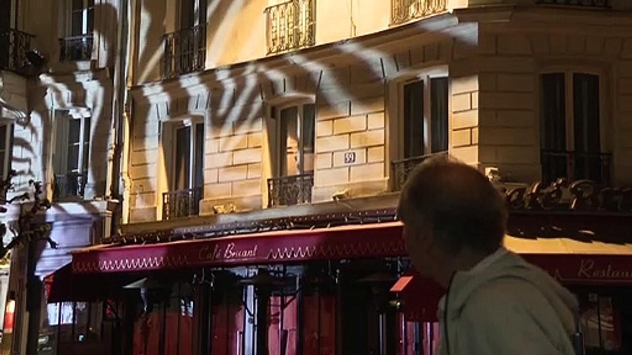 Dans les rues de Paris, la nuit, des zèbres et des poissons... en hologrammes