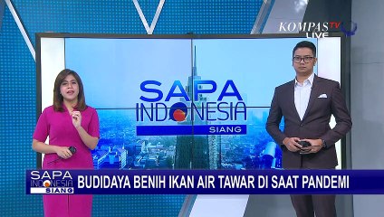 Minat Warga Meningkat, Pemkot Sukabumi Fokus Budidaya Ikan Air Tawar