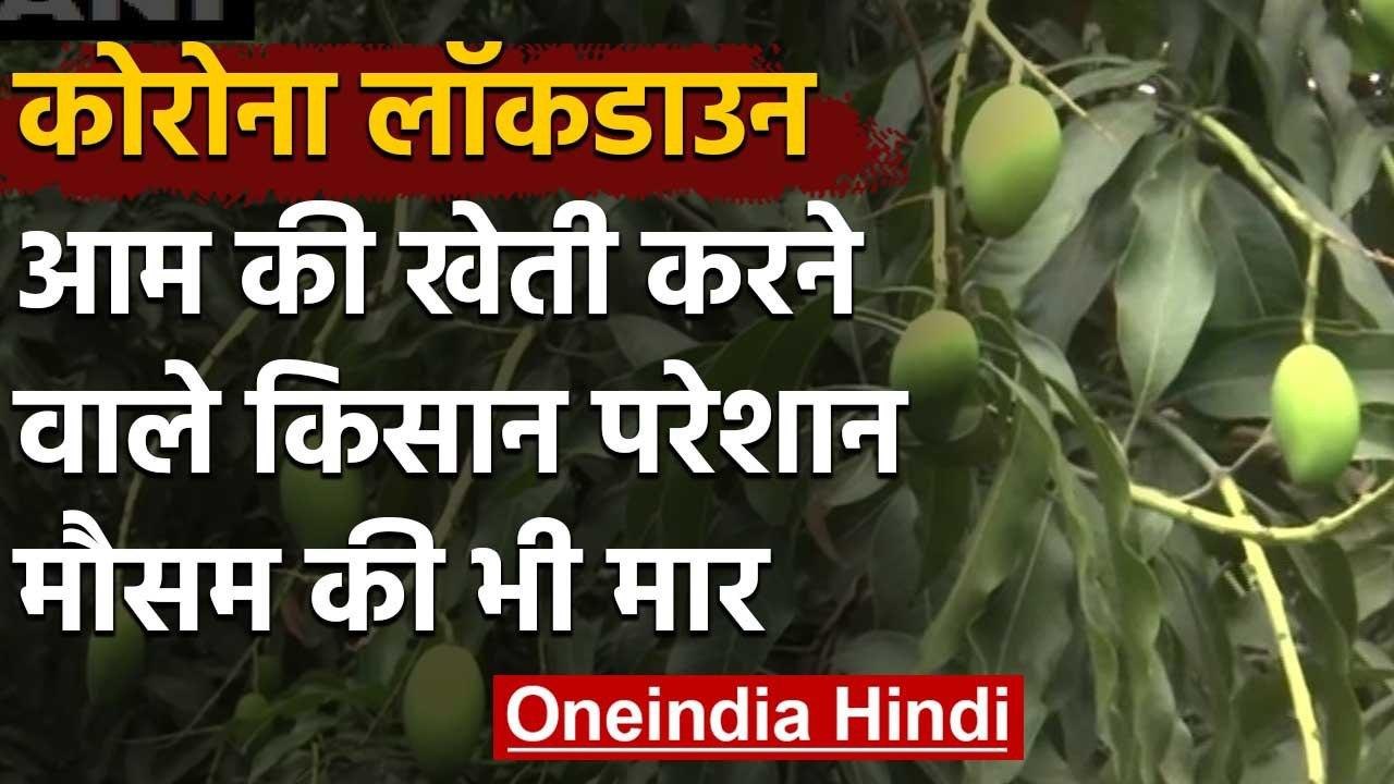 Corona Lockdown और मौसम की मार से आम किसान को पड़ रही दोहरी मार | वनइंडिया हिंदी