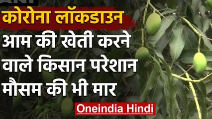 Corona Lockdown और मौसम की मार से आम किसान को पड़ रही दोहरी मार | वनइंडिया हिंदी