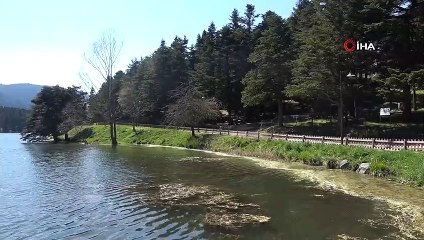 Gölcük Tabiat Parkı sessizliğe büründü