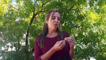 Tango en cuarentena en Argentina: a la espera del abrazo perdido