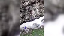 Kayalıklarda mahsur kalan keçiyi AFAD kurtardı