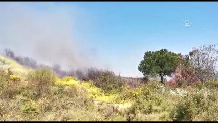 Kocaeli'de makilik alanda çıkan yangın kontrol altına alındı