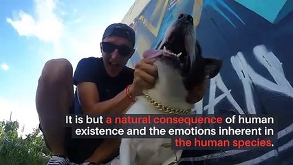 Executive Protection in New York