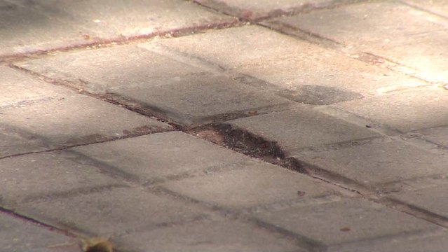 El presunto asesino de indigentes usaba violencia desmedida