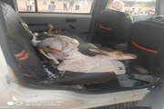 poacher arrested for hunting chinkara in jodhpur