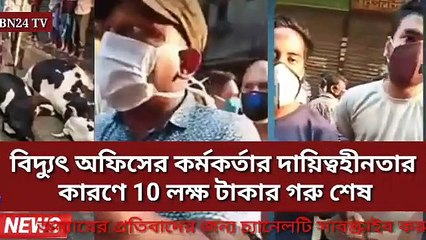 বিদ্যুৎ অফিসের কর্মকর্তা গাফিলতির কারণে প্রায় 10 লক্ষ টাকার গরু মরে গেছে ||bdnews ||  E I Media