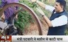 Madhya Pradesh: किसान को घास काटता देख खुद को रोक नही पाए मंत्री जी, जीतू पटवारी ने भी चलाई मशीन