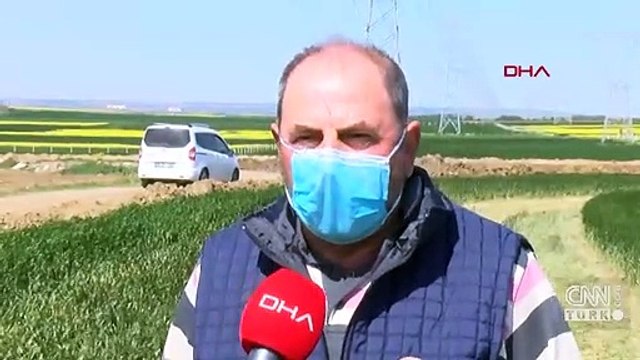 Hem kuralları hem de ekili alanları ezip geçtiler