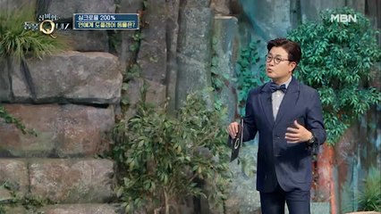 당신의 야생 본능을 깨울 새로운 퀴즈쇼의 탄생! 스튜디오에 ‘물소’ 난입?!