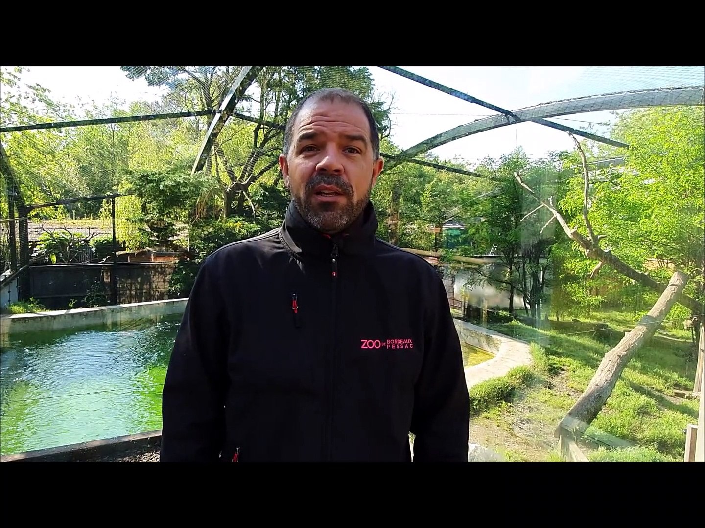 Coronavirus : en "situation critique", le zoo de Bordeaux-Pessac lance une  cagnotte pour nourrir les animaux - Vidéo Dailymotion