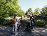 Kebun Binatang di Jerman  Kembali Dibuka
