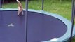 Des renards découvrent les joies du trampoline