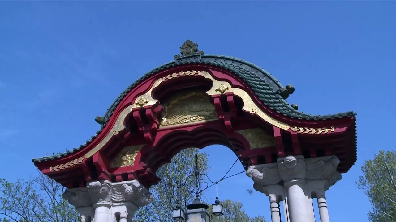 Berliner Zoos sind wieder geöffnet