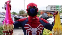 Thai man dresses up as Spider-Man to sell flowers to motorists during coronavirus pandemic