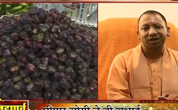 UP Chhath Puja: महापर्व छठ की धूम, भोजपुरी समाज को सीएम योगी ने दी खास अंदाज में छठ की बधाई