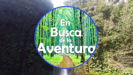 Parque Nacional Tolhuaca | Laguna Verde | Laguna Malleco | Salto Malleco