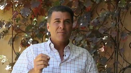 Michael Chiarello: Pairing Secret