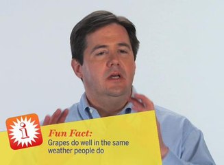 Weather and Climate: What Makes Grapes Happy?