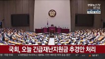 국회, 오늘 본회의 열어 긴급재난지원금 추경안 처리